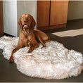 Load image into Gallery viewer, CozyCloud Orthopedic Memory Foam Dog Bed