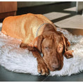 Load image into Gallery viewer, CozyCloud Orthopedic Memory Foam Dog Bed