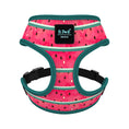 Load image into Gallery viewer, Canine Couture: Fashion Dog Harness