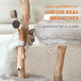 Ladda bilden i Galleri Viewer, The "Cloud" Natural Cat Tree