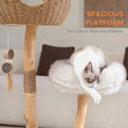 Ladda bilden i Galleri Viewer, The "Cloud" Natural Cat Tree