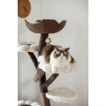 Load image into Gallery viewer, Terra- The Ultimate Cat Haven