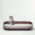 Load image into Gallery viewer, Versatile Cushion Bed for Comfortable All-Season Sleep