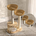 Ladda bilden i Galleri Viewer, Furr & Co. EcoLuxe Handcrafted Cat Tree