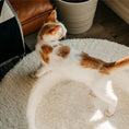 Load image into Gallery viewer, The Luxe Bouclé Nest – Orthopedic Pet Bed