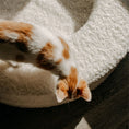 Load image into Gallery viewer, The Luxe Bouclé Nest – Orthopedic Pet Bed