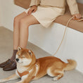 Load image into Gallery viewer, Luxury Leather Leash & Harness- Stylish Walking Leash