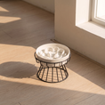 Ladda bilden i Galleri Viewer, Lumière Slow Feeder Bowl on an oak floor in late afternoon light