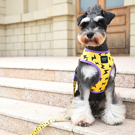 Canine Couture: Fashion Dog Harness