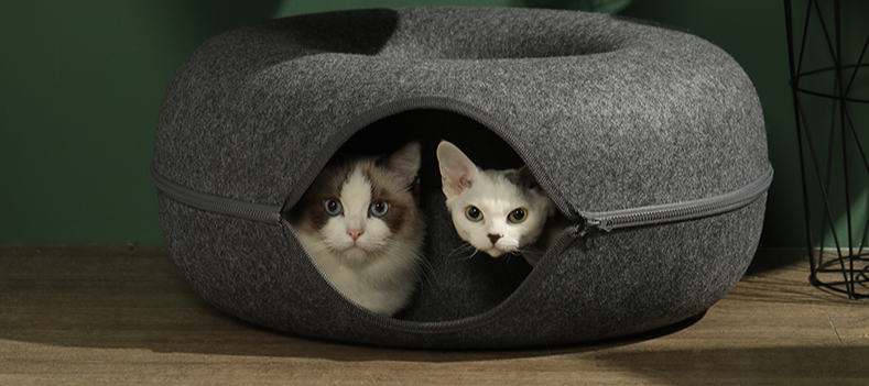 Donut Cat Bed & Tunnel: Interactive Dual-Use Toy for Indoor Cats