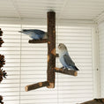 Load image into Gallery viewer, Applewood Bird Stand Toy: Natural Pole for Avian Enrichment
