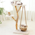 Load image into Gallery viewer, Imperial Cat Tree
