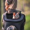 Load image into Gallery viewer, Pet Backpack: Large Shoulder Carrier with Breathable Design for Cats
