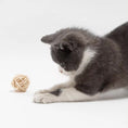 Charger l'image dans la visionneuse de la galerie, Purrfect Play- Cat Rattan Ball Toys
