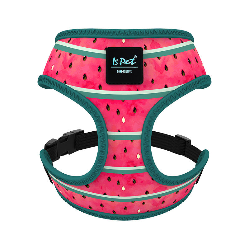 Canine Couture: Fashion Dog Harness