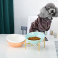 Load image into Gallery viewer, Elegant Pet Bowl for Stylish Feeding
