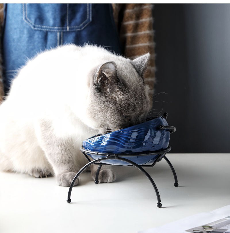 Fancy Pet Cat and Dog Bowl: Stylish and Functional Feeding Solution