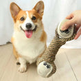 Load image into Gallery viewer, WoofN' Tug- Premium Dog Tug Toy
