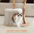 Ladda bilden i Galleri Viewer, The "Cloud" Natural Cat Tree
