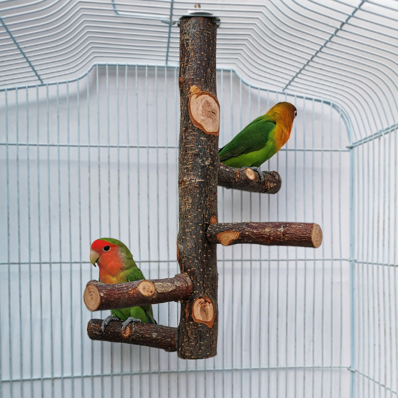 Jouet de support d’oiseau de perroquet en bois de pommier : poteau naturel de 12x9 « pour l’enrichissement aviaire 