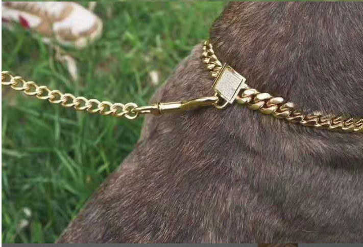 Stylish Stainless Steel Dog Cat Collar | Gold-Tone Chain Design