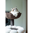 Load image into Gallery viewer, Terra- The Ultimate Cat Haven
