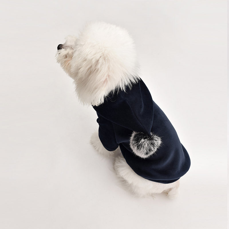 Veste de luxe élégante pour chien – Vêtements d'extérieur de créateur pour animaux de compagnie 