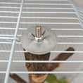 Load image into Gallery viewer, Applewood Bird Stand Toy: Natural Pole for Avian Enrichment
