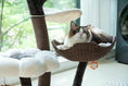 Load image into Gallery viewer, Terra- The Ultimate Cat Haven
