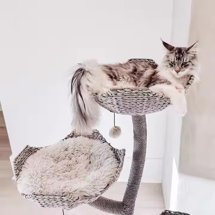 The Ashcroft- Cat Tree