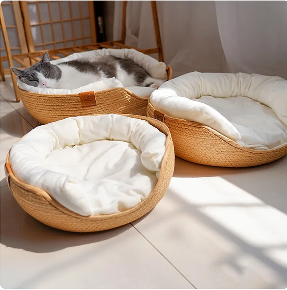 Furr & Co. Modern Oasis Cat Bed