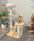 Ladda bilden i Galleri Viewer, Evergrove Retreat- Wood Cat Tree
