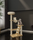 Ladda bilden i Galleri Viewer, Evergrove Retreat- Wood Cat Tree
