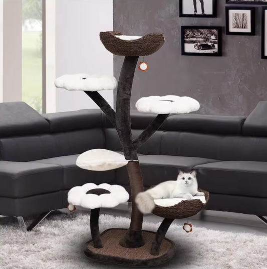 Terra- The Ultimate Cat Haven