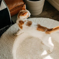 Load image into Gallery viewer, The Luxe Bouclé Nest – Orthopedic Pet Bed
