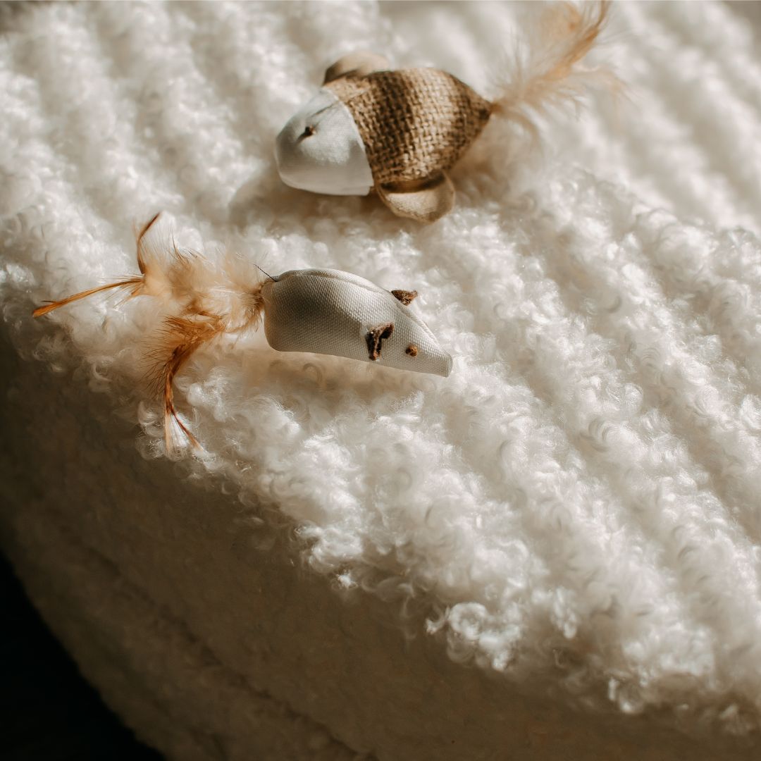 The Luxe Bouclé Nest – Orthopedic Pet Bed