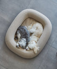 Load image into Gallery viewer, Nuvola - Supreme Cloud Comfort for Your Dog
