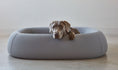 Load image into Gallery viewer, Nuvola - Supreme Cloud Comfort for Your Dog
