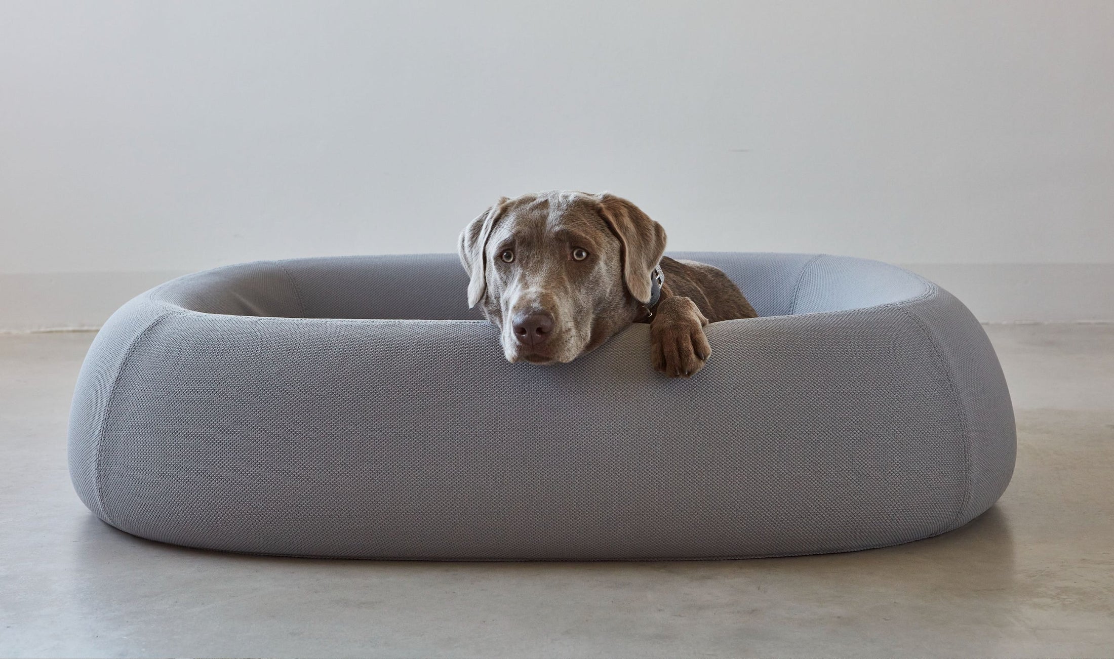 Nuvola - Supreme Cloud Comfort for Your Dog