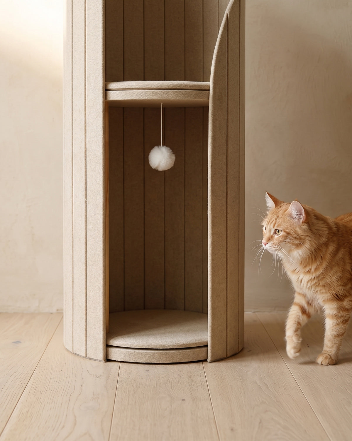 Floor-level view of ARCHE in Cream, with a ginger cat stepping toward the lower alcove and the pom-pom toy hanging inside