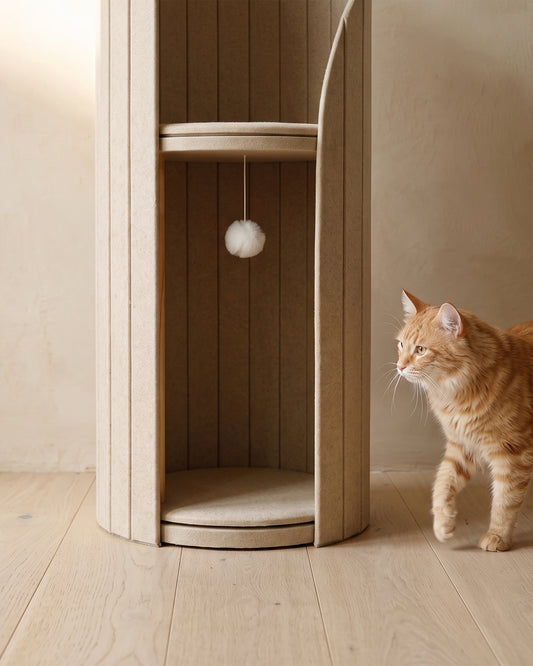 Floor-level view of ARCHE in Cream, with a ginger cat stepping toward the lower alcove and the pom-pom toy hanging inside