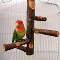 Ladda bilden i Galleri Viewer, Apple Wood Parrot Bird Stand Leksak: Naturlig 12x9" stång för fågelberikning 
