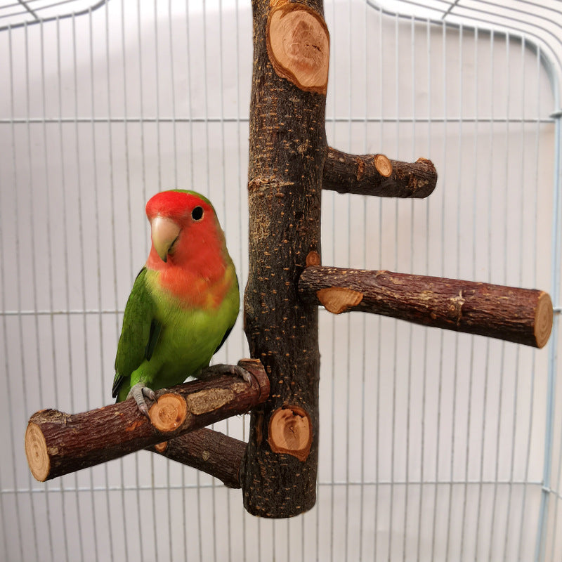 Apple Wood Parrot Bird Stand Leksak: Naturlig 12x9" stång för fågelberikning 