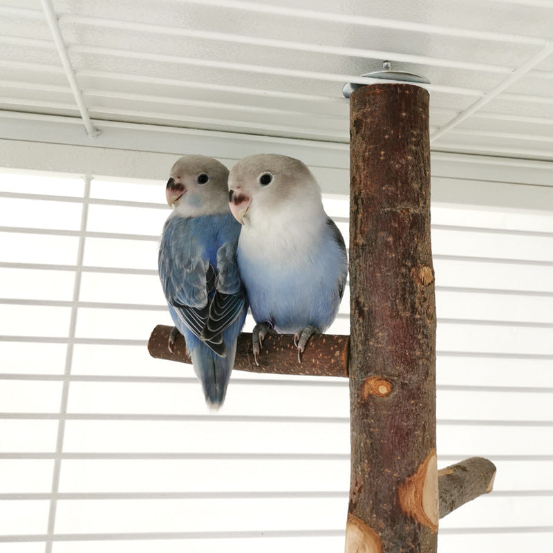 Jouet de support d’oiseau de perroquet en bois de pommier : poteau naturel de 12x9 « pour l’enrichissement aviaire 