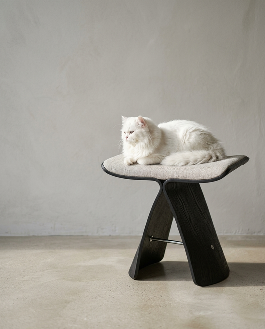Cat resting on the Sora perch linen seat