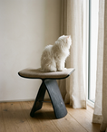 Load image into Gallery viewer, Cat sitting on the Sora perch at a window
