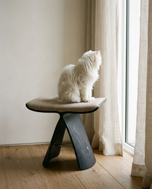 Cat sitting on the Sora perch at a window