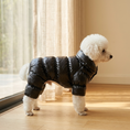 Load image into Gallery viewer, Small white dog in the black Verbier Puffer Suit standing at a sunlit window
