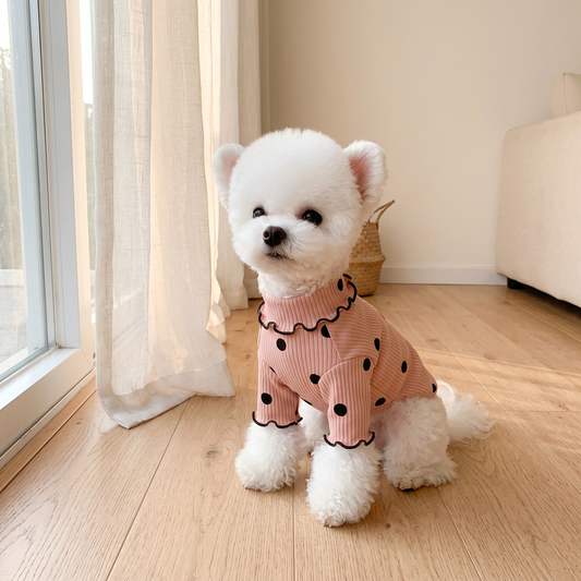 Small white dog in the pink Megève Dot Knit sitting by a sunlit window