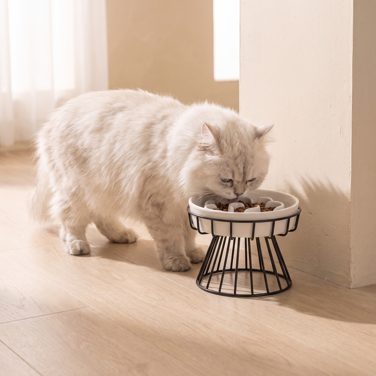A longhaired cream cat eating from the Lumière Slow Feeder Bowl on an oak floor